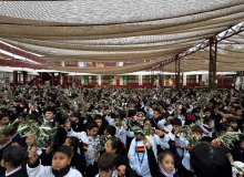 DOMINGO DE RAMOS 2026